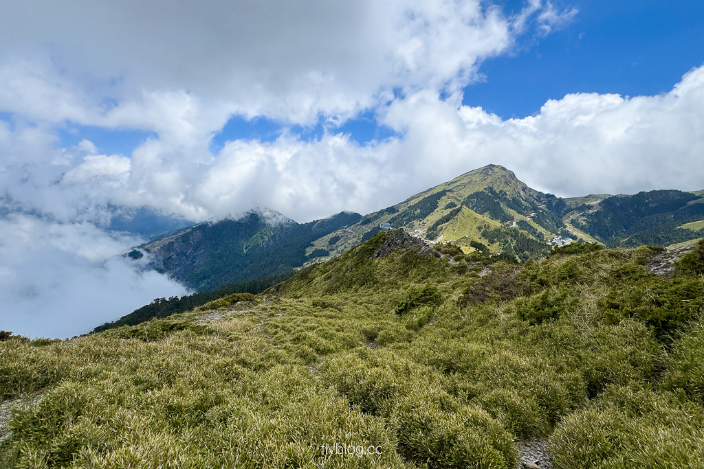 南投仁愛｜合歡山石門山步道．一小時登頂！難度百岳體驗，眺望絕美高山雲海 @飛天璇的口袋