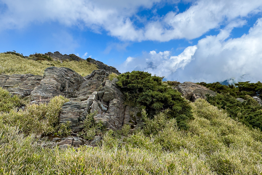 南投仁愛|合歡山石門山步道.一小時登頂!難度百岳體驗,眺望絕美高山雲海 @飛天璇的口袋 南投仁愛|合歡山石門山步道.一小時登頂!難度百岳體驗,眺望絕美高山雲海 @飛天璇的口袋
