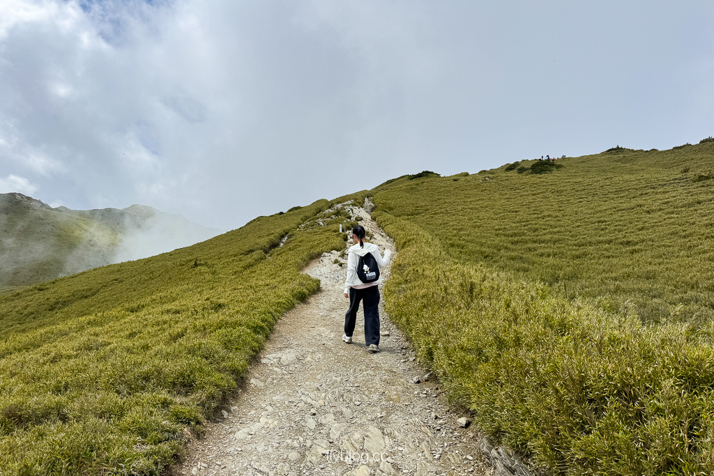 南投仁愛｜合歡山石門山步道．一小時登頂！難度百岳體驗，眺望絕美高山雲海 @飛天璇的口袋