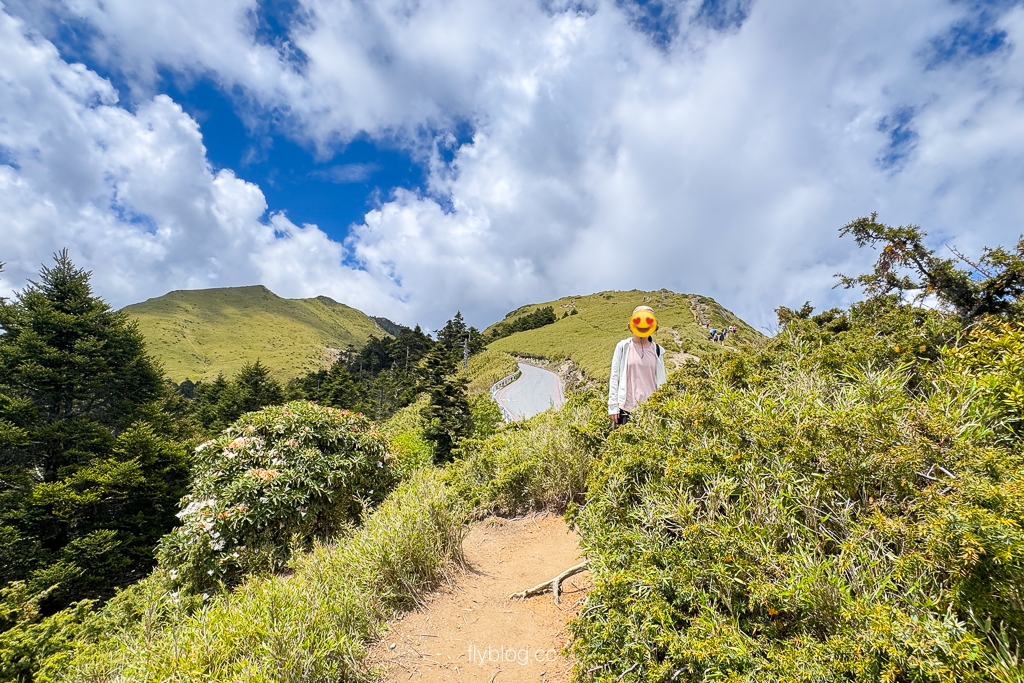 南投仁愛｜合歡山石門山步道．一小時登頂！難度百岳體驗，眺望絕美高山雲海 @飛天璇的口袋