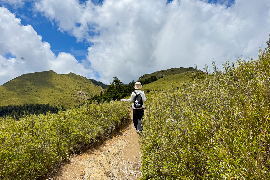 南投仁愛｜合歡山石門山步道．一小時登頂！難度百岳體驗，眺望絕美高山雲海 @飛天璇的口袋