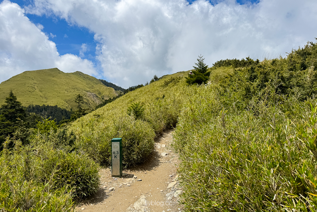 南投仁愛|合歡山石門山步道.一小時登頂!難度百岳體驗,眺望絕美高山雲海 @飛天璇的口袋 南投仁愛|合歡山石門山步道.一小時登頂!難度百岳體驗,眺望絕美高山雲海 @飛天璇的口袋