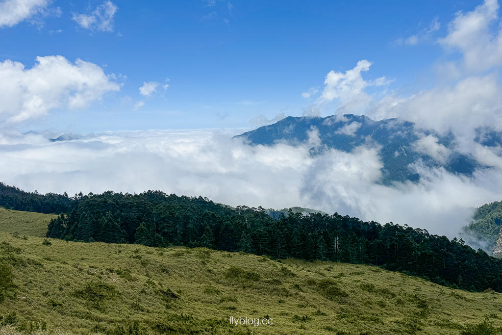 南投仁愛｜合歡山石門山步道．一小時登頂！難度百岳體驗，眺望絕美高山雲海 @飛天璇的口袋