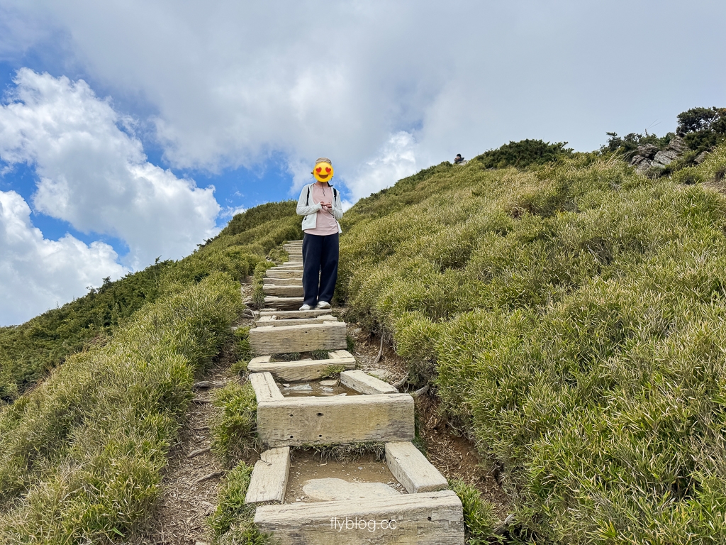 南投仁愛｜合歡山石門山步道．一小時登頂！難度百岳體驗，眺望絕美高山雲海 @飛天璇的口袋