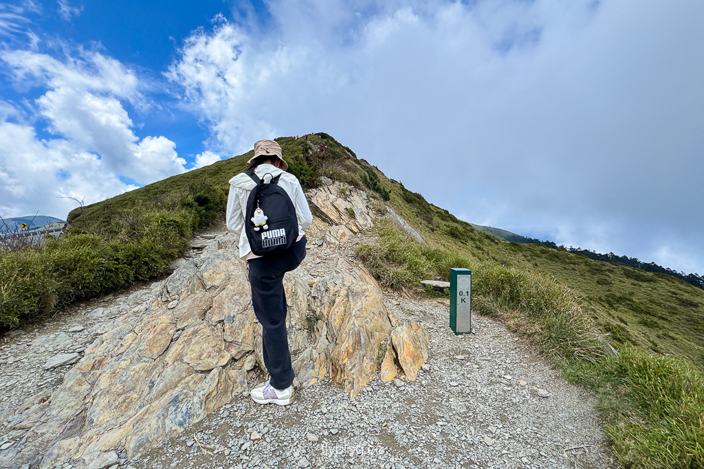 南投仁愛｜合歡山石門山步道．一小時登頂！難度百岳體驗，眺望絕美高山雲海 @飛天璇的口袋