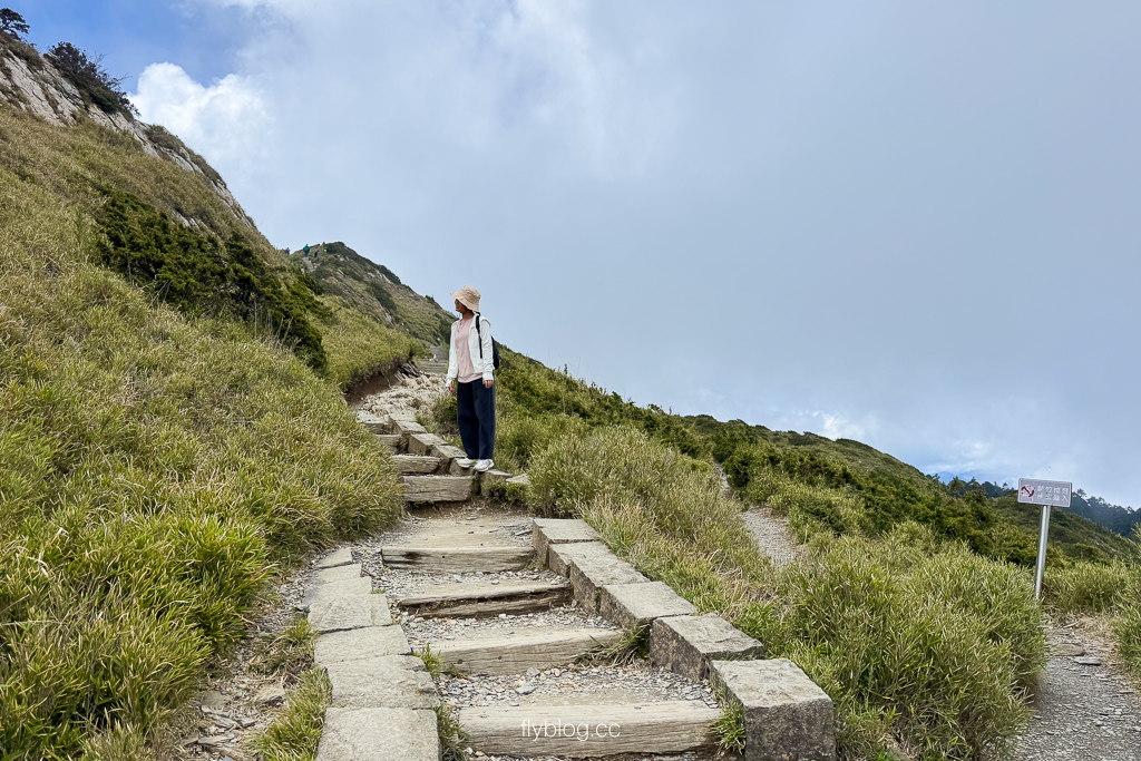 南投仁愛|合歡山石門山步道.一小時登頂!難度百岳體驗,眺望絕美高山雲海 @飛天璇的口袋 南投仁愛|合歡山石門山步道.一小時登頂!難度百岳體驗,眺望絕美高山雲海 @飛天璇的口袋