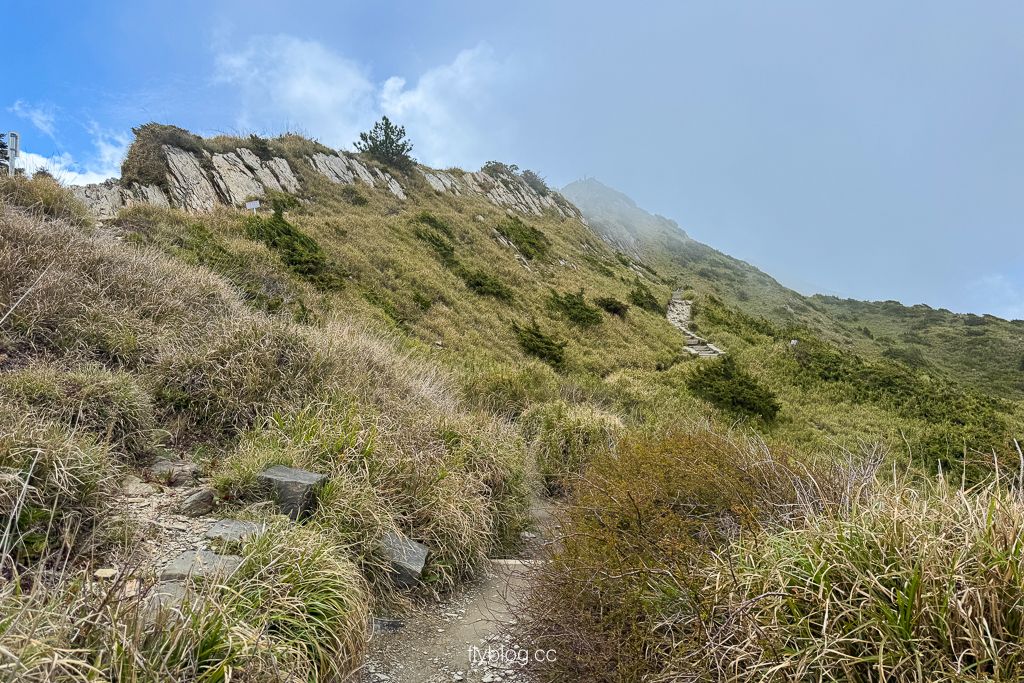 南投仁愛｜合歡山石門山步道．一小時登頂！難度百岳體驗，眺望絕美高山雲海 @飛天璇的口袋