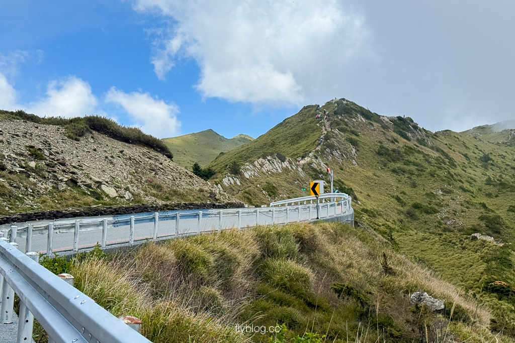 南投仁愛|合歡山石門山步道.一小時登頂!難度百岳體驗,眺望絕美高山雲海 @飛天璇的口袋 南投仁愛|合歡山石門山步道.一小時登頂!難度百岳體驗,眺望絕美高山雲海 @飛天璇的口袋