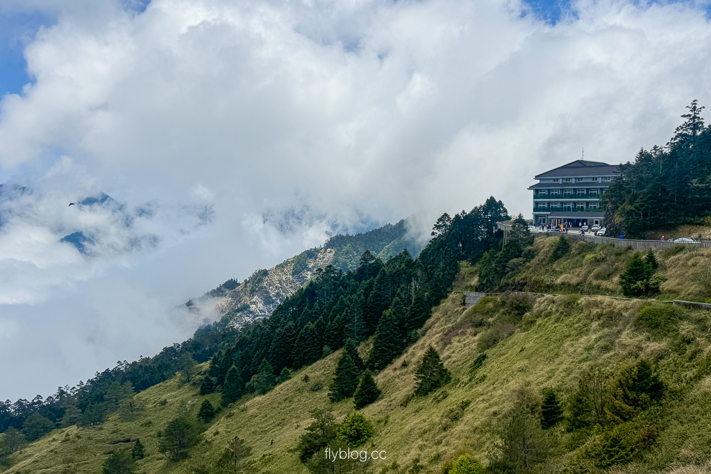 南投仁愛|合歡山石門山步道.一小時登頂!難度百岳體驗,眺望絕美高山雲海 @飛天璇的口袋 南投仁愛|合歡山石門山步道.一小時登頂!難度百岳體驗,眺望絕美高山雲海 @飛天璇的口袋