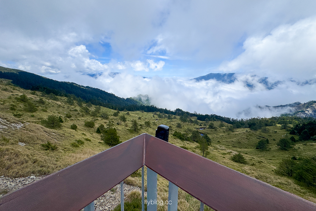 南投仁愛|合歡山石門山步道.一小時登頂!難度百岳體驗,眺望絕美高山雲海 @飛天璇的口袋 南投仁愛|合歡山石門山步道.一小時登頂!難度百岳體驗,眺望絕美高山雲海 @飛天璇的口袋