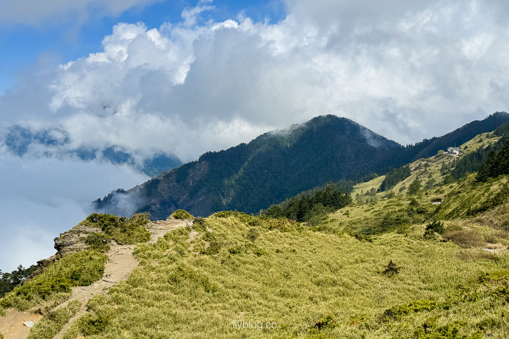 南投仁愛|合歡山石門山步道.一小時登頂!難度百岳體驗,眺望絕美高山雲海 @飛天璇的口袋 南投仁愛|合歡山石門山步道.一小時登頂!難度百岳體驗,眺望絕美高山雲海 @飛天璇的口袋