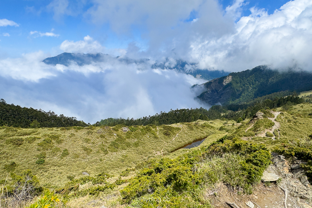 南投仁愛｜合歡山石門山步道．一小時登頂！難度百岳體驗，眺望絕美高山雲海 @飛天璇的口袋