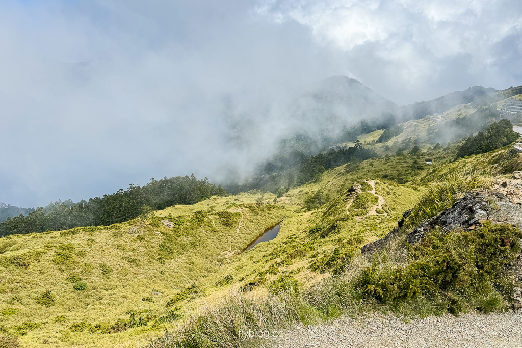 南投仁愛｜合歡山石門山步道．一小時登頂！難度百岳體驗，眺望絕美高山雲海 @飛天璇的口袋