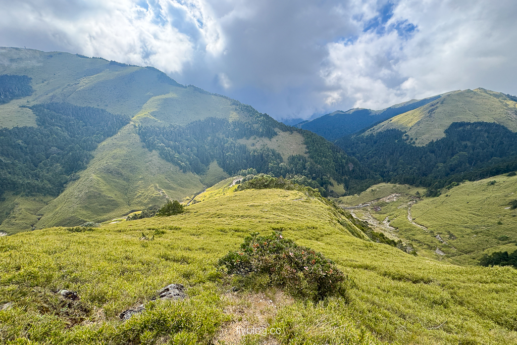 南投仁愛|合歡尖山步道.30分鐘登頂,無敵山景視野,台灣也有馬丘比丘? @飛天璇的口袋 南投仁愛|合歡尖山步道.30分鐘登頂,無敵山景視野,台灣也有馬丘比丘? @飛天璇的口袋