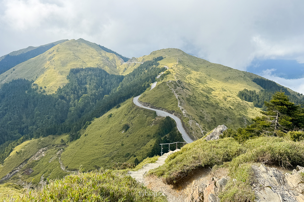 南投仁愛|合歡尖山步道.30分鐘登頂,無敵山景視野,台灣也有馬丘比丘? @飛天璇的口袋 南投仁愛|合歡尖山步道.30分鐘登頂,無敵山景視野,台灣也有馬丘比丘? @飛天璇的口袋