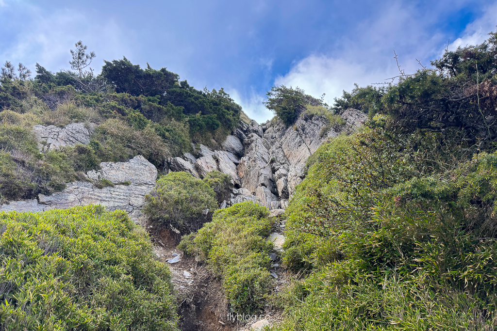 南投仁愛|合歡尖山步道.30分鐘登頂,無敵山景視野,台灣也有馬丘比丘? @飛天璇的口袋 南投仁愛|合歡尖山步道.30分鐘登頂,無敵山景視野,台灣也有馬丘比丘? @飛天璇的口袋