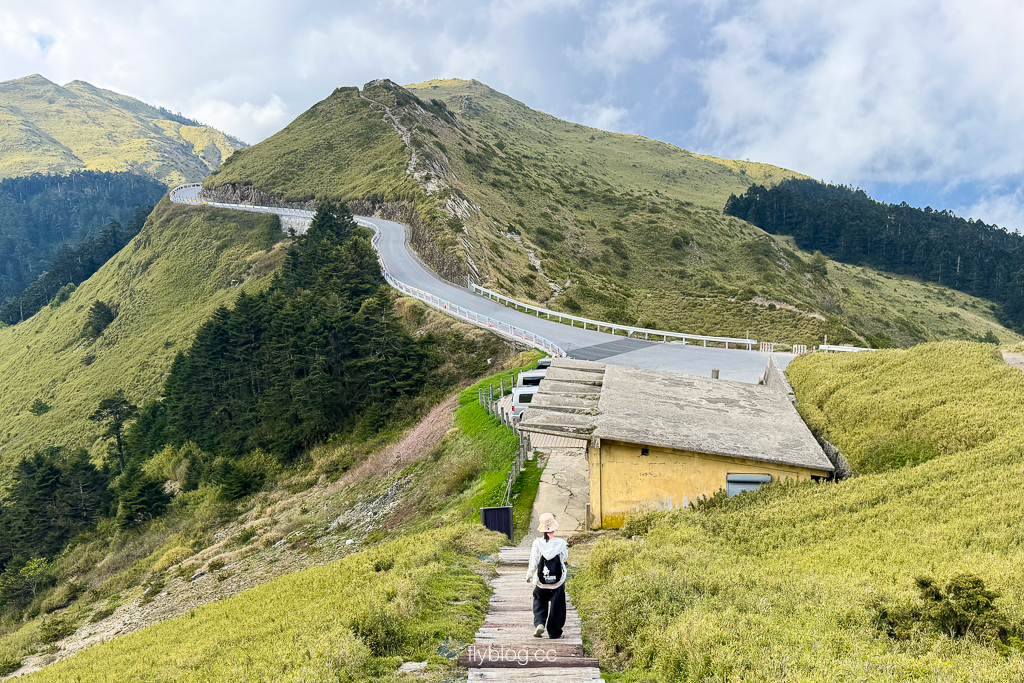 南投仁愛|合歡尖山步道.30分鐘登頂,無敵山景視野,台灣也有馬丘比丘? @飛天璇的口袋 南投仁愛|合歡尖山步道.30分鐘登頂,無敵山景視野,台灣也有馬丘比丘? @飛天璇的口袋