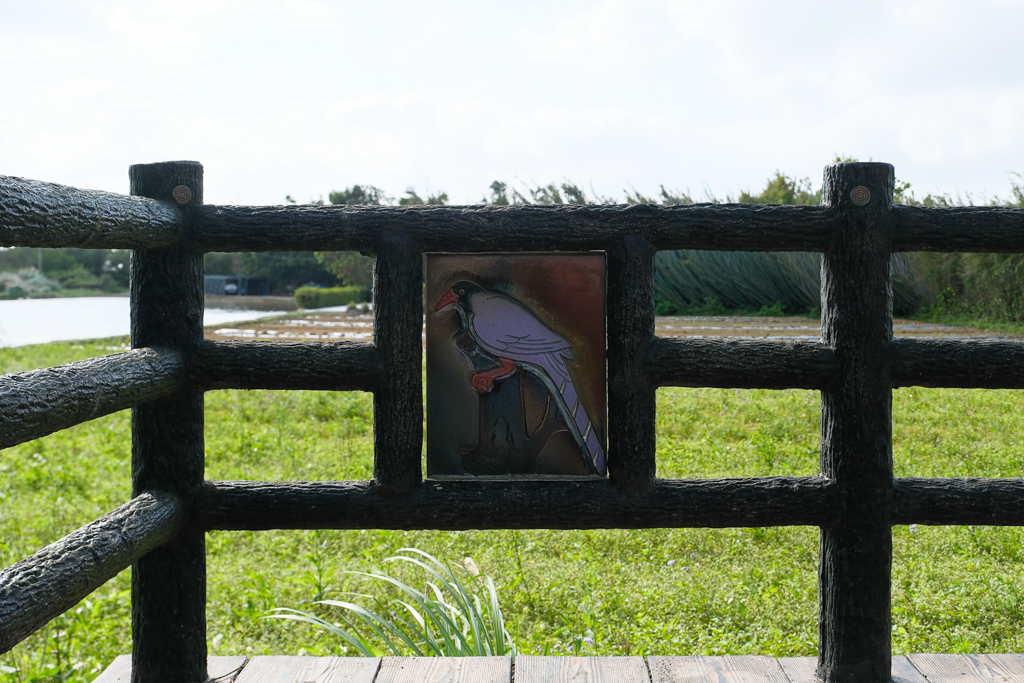 桃園旅遊｜珍珠海岸景點大蒐集．劉克襄老師帶路，桃園海岸線專屬的浪漫旅行 @飛天璇的口袋