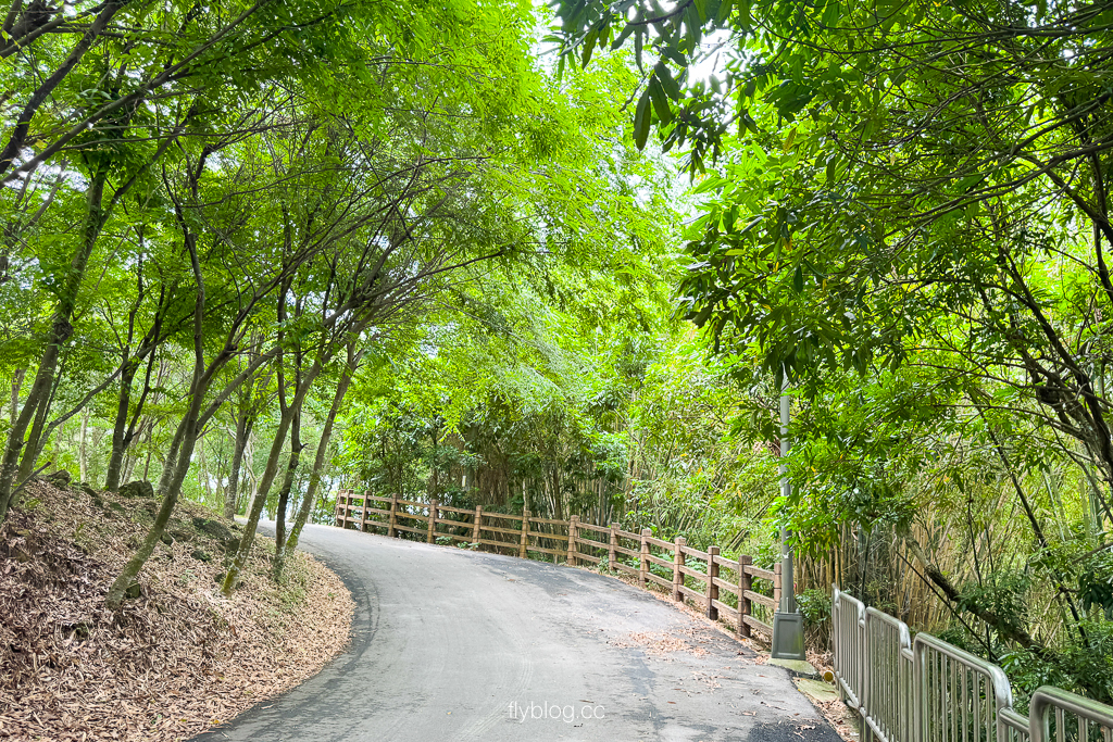 台中霧峰｜阿罩霧步道．360度慶堡觀景平台，順遊46號小百岳阿罩霧山 @飛天璇的口袋
