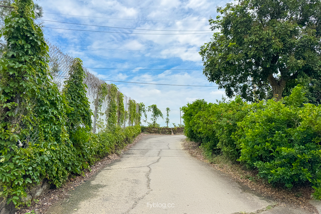 台中霧峰｜阿罩霧步道．360度慶堡觀景平台，順遊46號小百岳阿罩霧山 @飛天璇的口袋