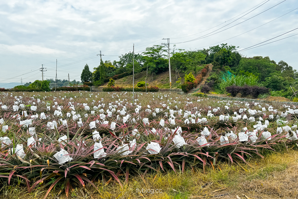 台中霧峰｜阿罩霧步道．360度慶堡觀景平台，順遊46號小百岳阿罩霧山 @飛天璇的口袋