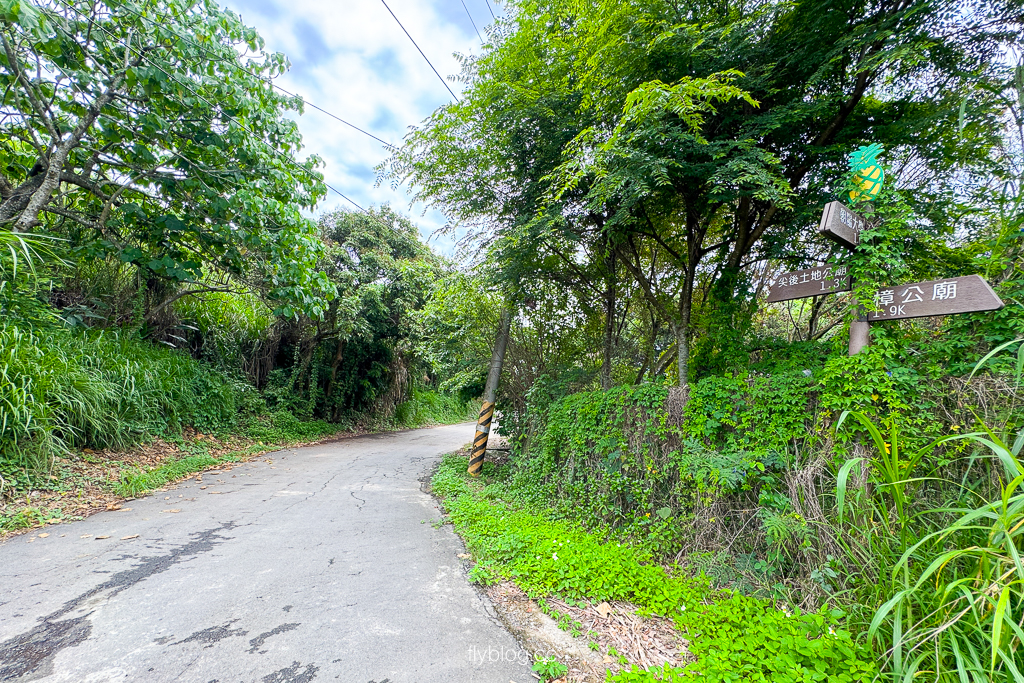 台中霧峰｜阿罩霧步道．360度慶堡觀景平台，順遊46號小百岳阿罩霧山 @飛天璇的口袋