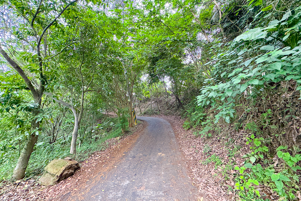台中霧峰｜阿罩霧步道．360度慶堡觀景平台，順遊46號小百岳阿罩霧山 @飛天璇的口袋