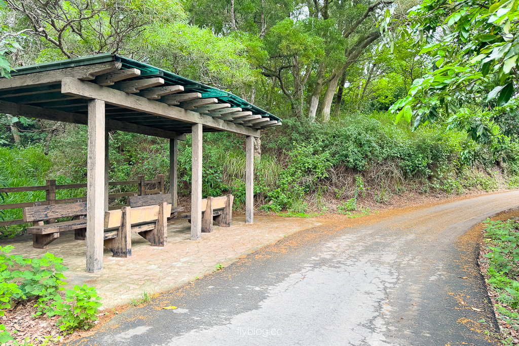 台中霧峰｜阿罩霧步道．360度慶堡觀景平台，順遊46號小百岳阿罩霧山 @飛天璇的口袋