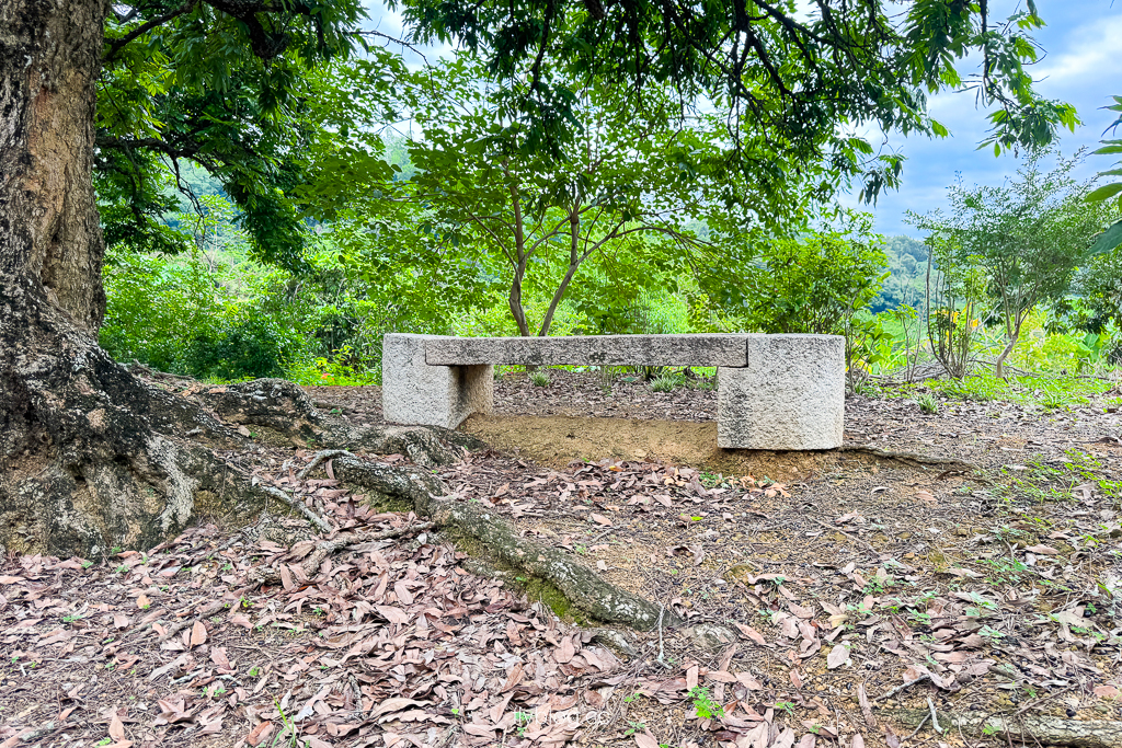 台中霧峰｜阿罩霧步道．360度慶堡觀景平台，順遊46號小百岳阿罩霧山 @飛天璇的口袋