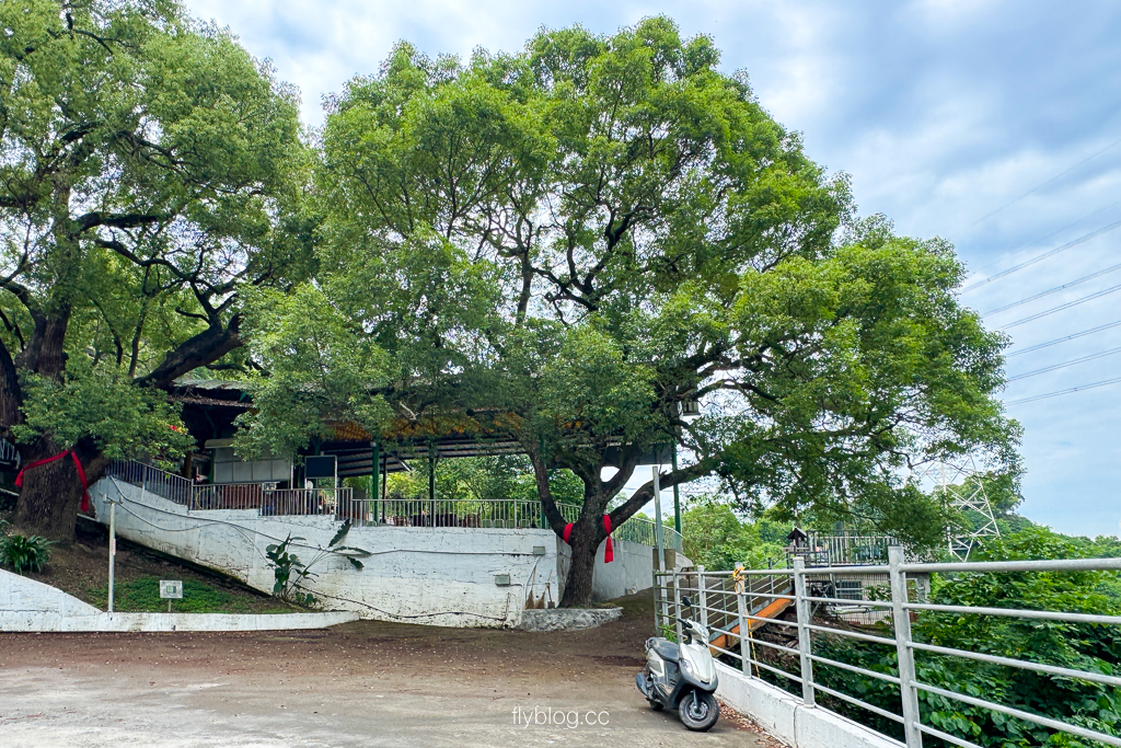 台中霧峰｜阿罩霧步道．360度慶堡觀景平台，順遊46號小百岳阿罩霧山 @飛天璇的口袋