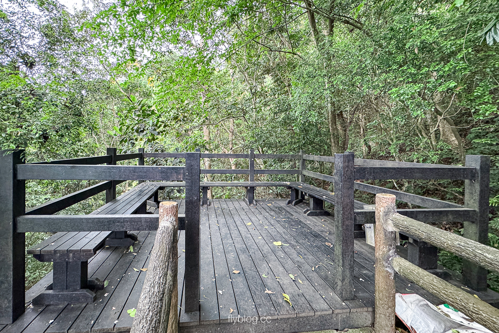 台中北屯｜大坑2號登山步道．全長1.2公里連接頭嵙山，挑戰60度好漢坡木棧道 @飛天璇的口袋