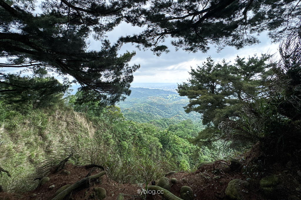 台中北屯｜大坑2號登山步道．全長1.2公里連接頭嵙山，挑戰60度好漢坡木棧道 @飛天璇的口袋