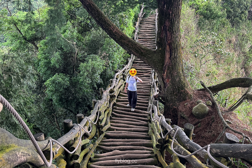 台中北屯｜大坑2號登山步道．全長1.2公里連接頭嵙山，挑戰60度好漢坡木棧道 @飛天璇的口袋