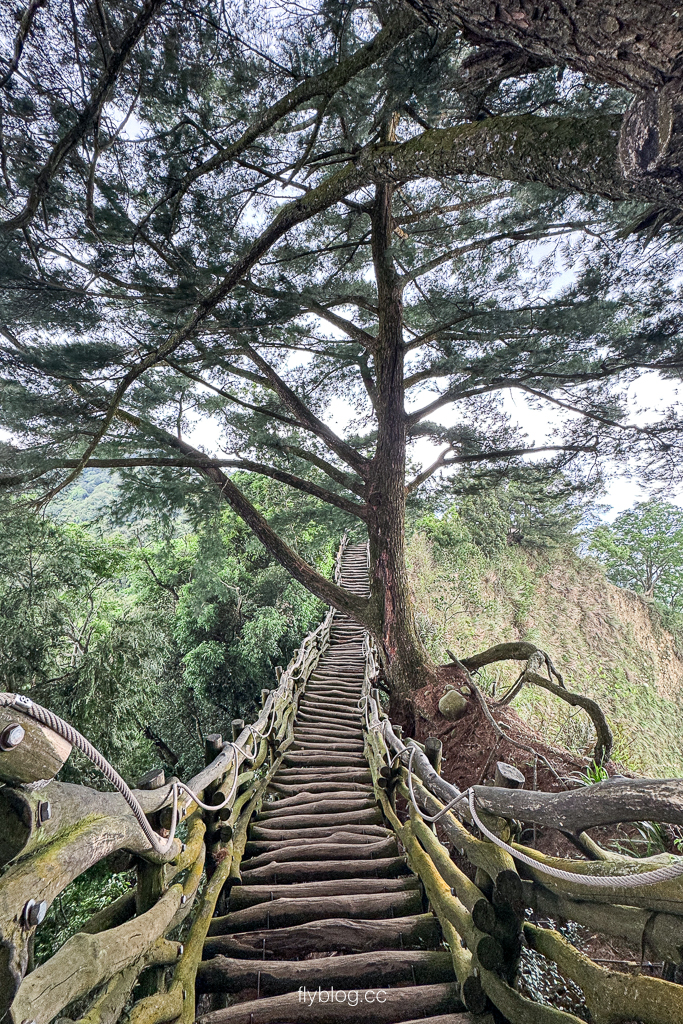 台中北屯｜大坑2號登山步道．全長1.2公里連接頭嵙山，挑戰60度好漢坡木棧道 @飛天璇的口袋
