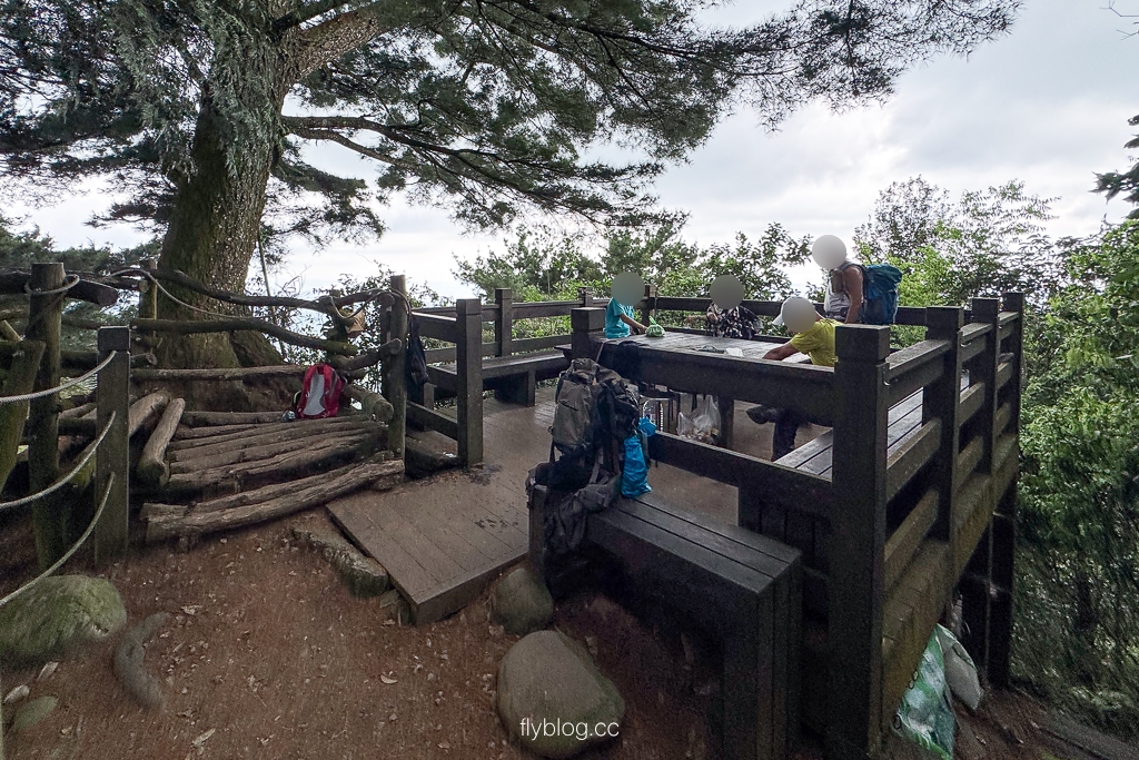 台中北屯｜大坑2號登山步道．全長1.2公里連接頭嵙山，挑戰60度好漢坡木棧道 @飛天璇的口袋