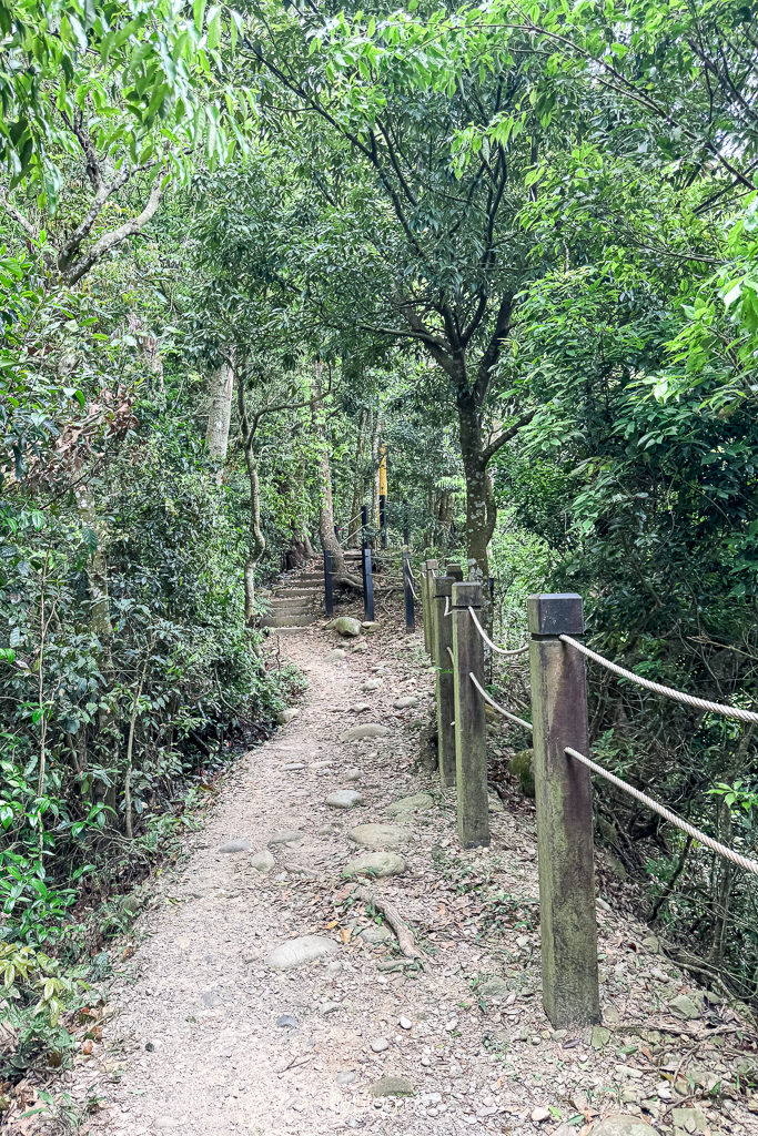 台中北屯｜大坑2號登山步道．全長1.2公里連接頭嵙山，挑戰60度好漢坡木棧道 @飛天璇的口袋