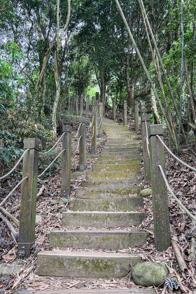 台中北屯｜大坑2號登山步道．全長1.2公里連接頭嵙山，挑戰60度好漢坡木棧道 @飛天璇的口袋