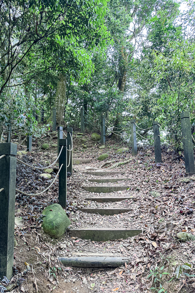 台中北屯｜大坑2號登山步道．全長1.2公里連接頭嵙山，挑戰60度好漢坡木棧道 @飛天璇的口袋
