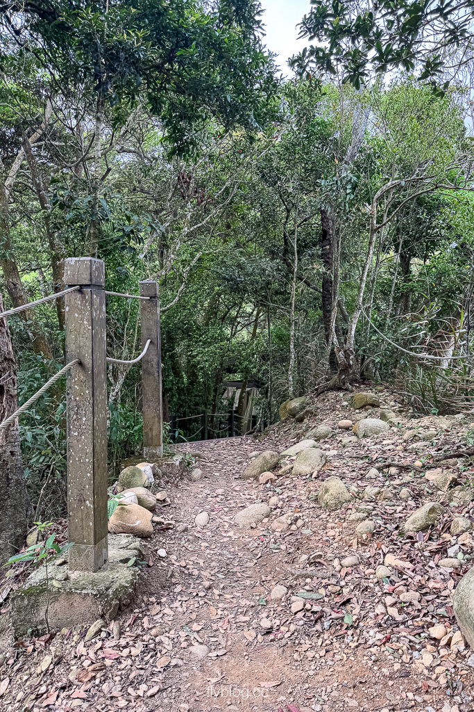 台中北屯｜大坑2號登山步道．全長1.2公里連接頭嵙山，挑戰60度好漢坡木棧道 @飛天璇的口袋