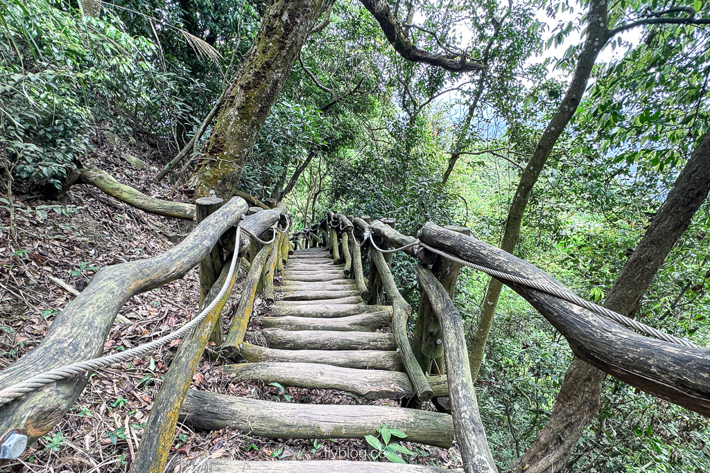 台中北屯｜大坑2號登山步道．全長1.2公里連接頭嵙山，挑戰60度好漢坡木棧道 @飛天璇的口袋