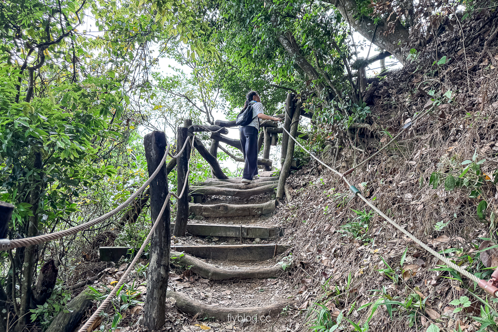 台中北屯｜大坑2號登山步道．全長1.2公里連接頭嵙山，挑戰60度好漢坡木棧道 @飛天璇的口袋