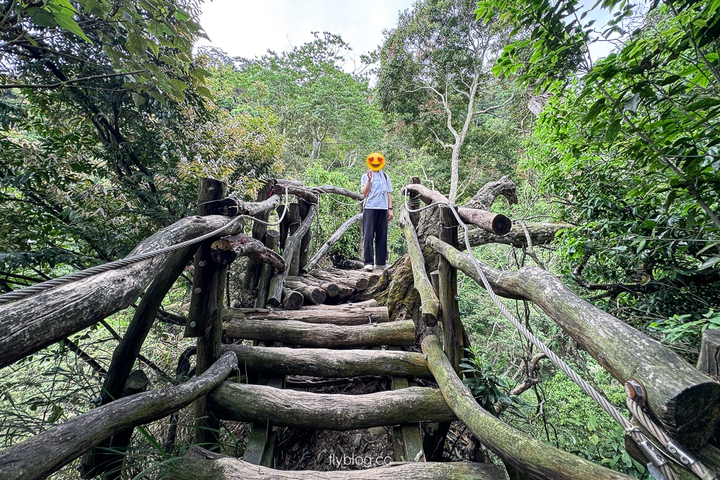 台中北屯｜大坑2號登山步道．全長1.2公里連接頭嵙山，挑戰60度好漢坡木棧道 @飛天璇的口袋
