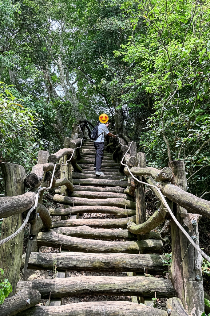 台中北屯｜大坑2號登山步道．全長1.2公里連接頭嵙山，挑戰60度好漢坡木棧道 @飛天璇的口袋