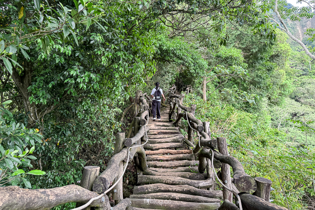 台中北屯｜大坑2號登山步道．全長1.2公里連接頭嵙山，挑戰60度好漢坡木棧道 @飛天璇的口袋