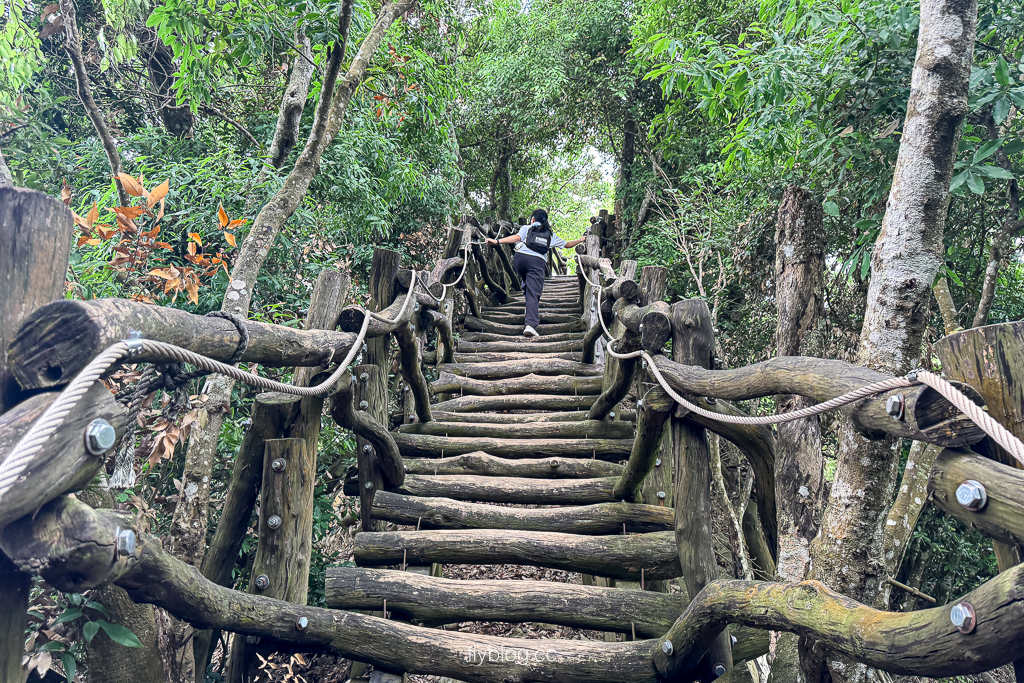 台中北屯｜大坑2號登山步道．全長1.2公里連接頭嵙山，挑戰60度好漢坡木棧道 @飛天璇的口袋