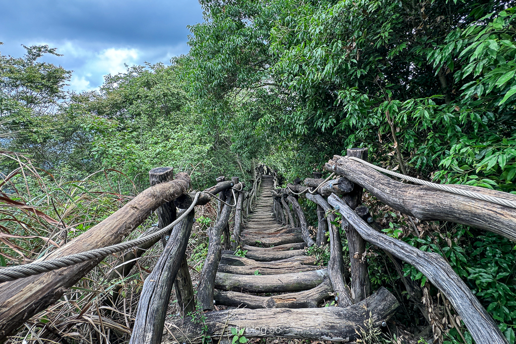 台中北屯｜大坑2號登山步道．全長1.2公里連接頭嵙山，挑戰60度好漢坡木棧道 @飛天璇的口袋