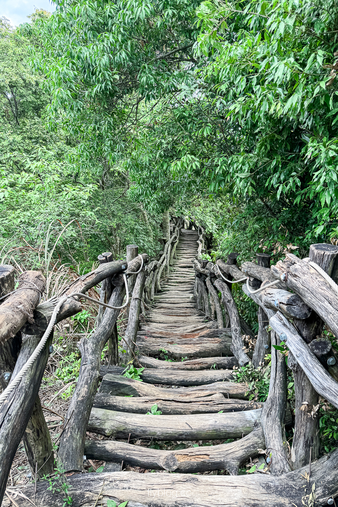 台中北屯｜大坑2號登山步道．全長1.2公里連接頭嵙山，挑戰60度好漢坡木棧道 @飛天璇的口袋