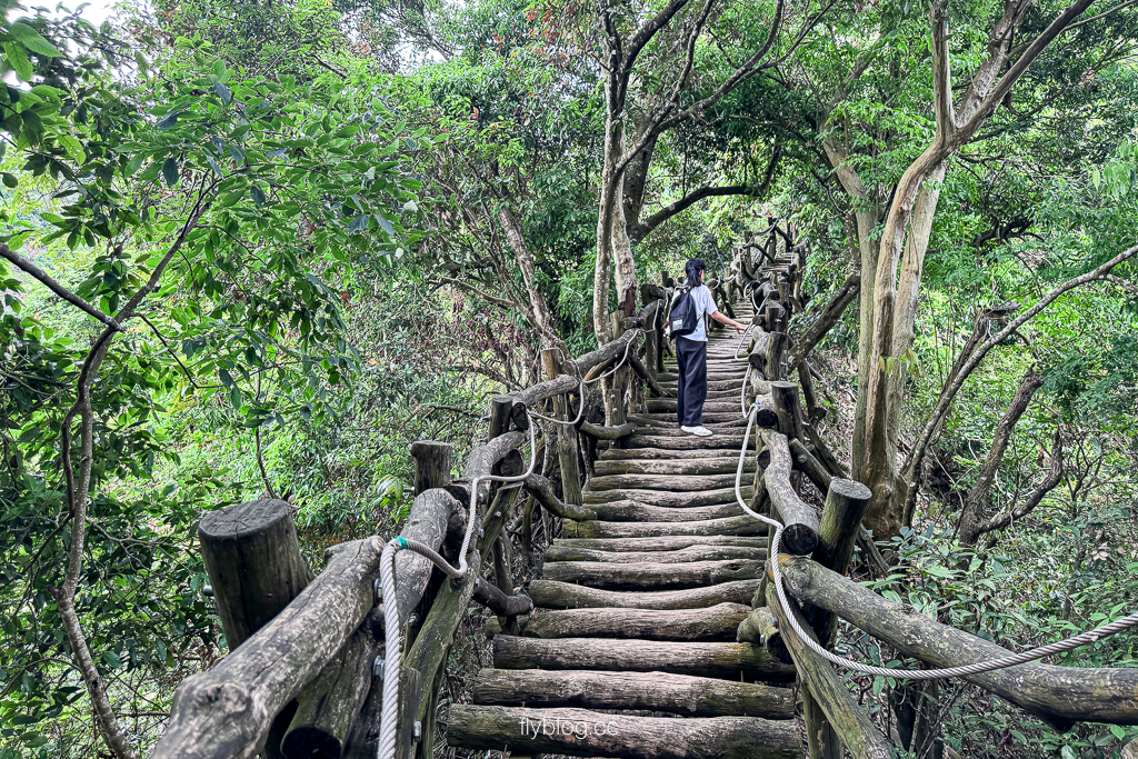 台中北屯｜大坑2號登山步道．全長1.2公里連接頭嵙山，挑戰60度好漢坡木棧道 @飛天璇的口袋