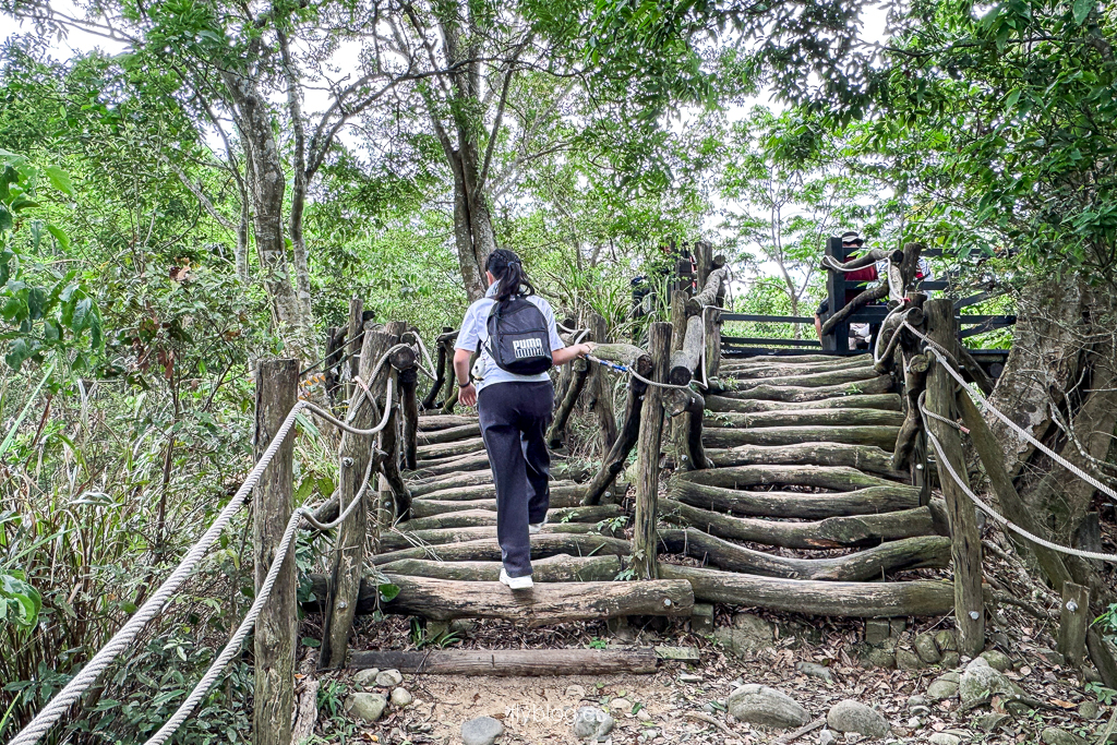 台中北屯｜大坑2號登山步道．全長1.2公里連接頭嵙山，挑戰60度好漢坡木棧道 @飛天璇的口袋