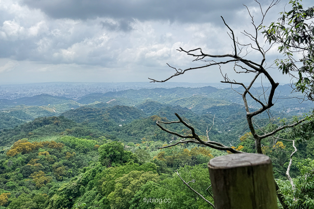 台中北屯｜大坑2號登山步道．全長1.2公里連接頭嵙山，挑戰60度好漢坡木棧道 @飛天璇的口袋